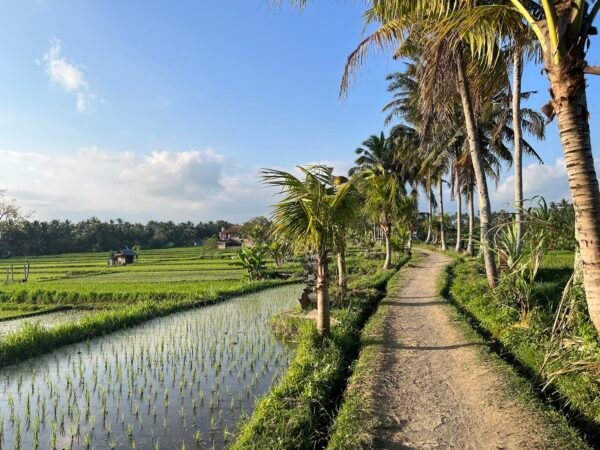 Trekking di Subak Juwuk Manis