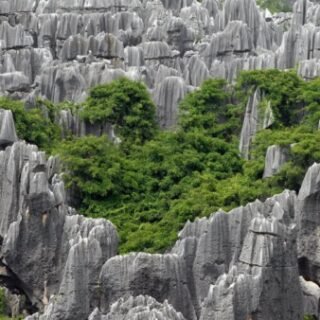 Stone Forest Kunming