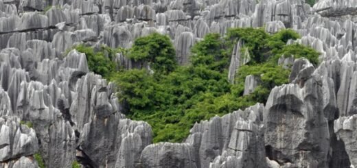 Stone Forest Kunming