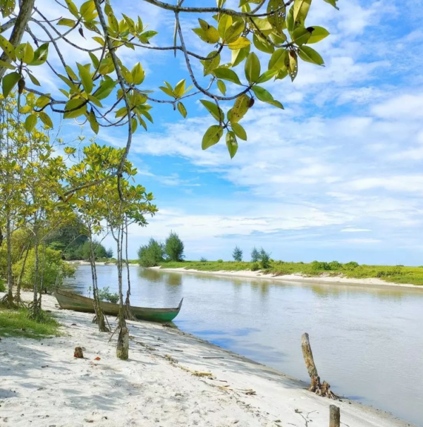 Pantai Mangrove Jenu