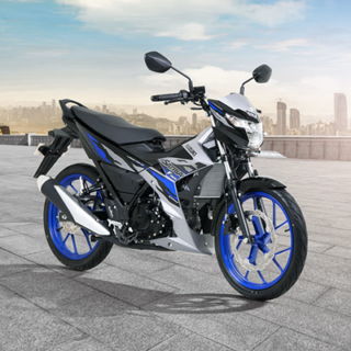 Spesifikasi Umum Suzuki Pro