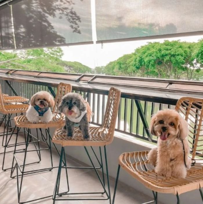 JJ Lake Cafe and Eatery Surabaya - Photo by Madhang