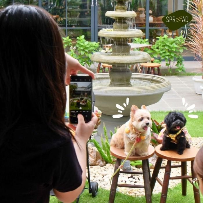 Spreadby TooTooMoo Pet Friendly Cafe di Surabaya - Photo by Detik