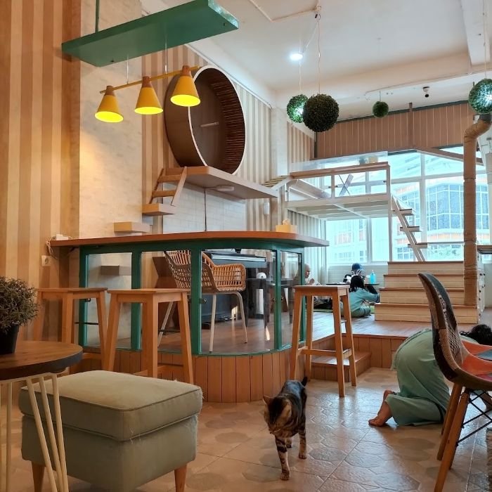 Superbee Pet Care and Cat Cafe - Photo by Radarbekasi