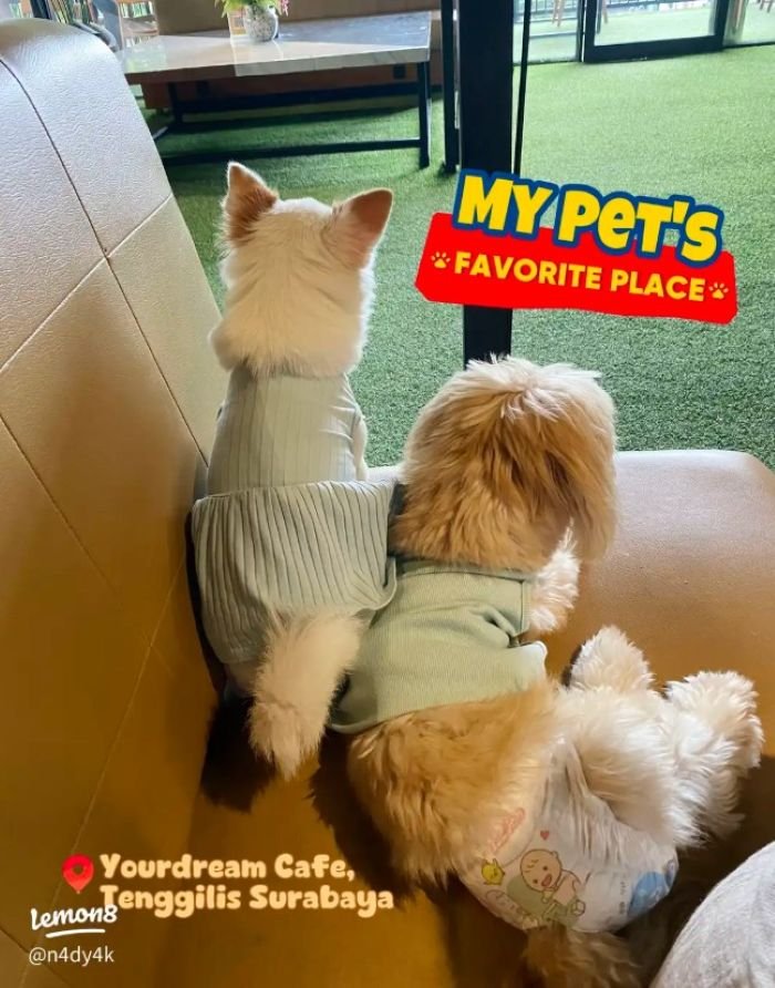 Your Dream Coffee and Eatery Surabaya - Photo by Lemon8