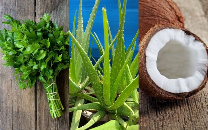 Obat Tradisional Penumbuh Rambut - Photo by Google