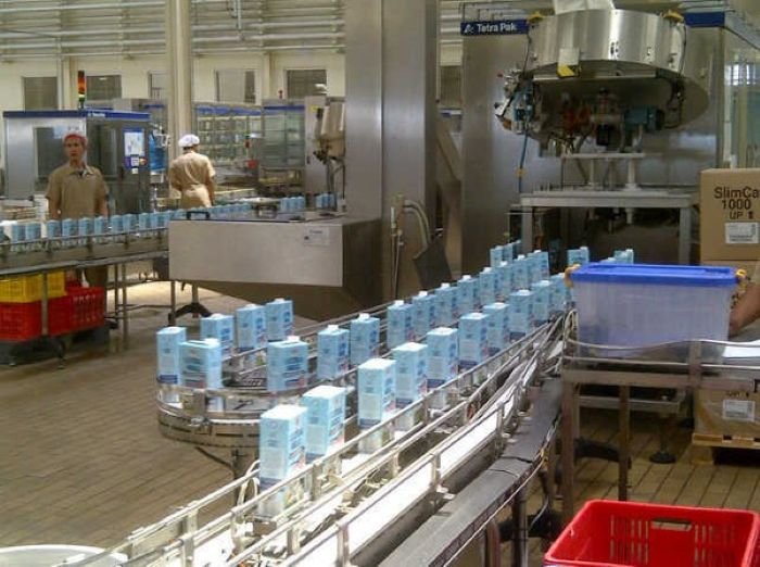 PT Ultrajaya Milk Industry & Trading Company Makassar - Photo by detikFinance
