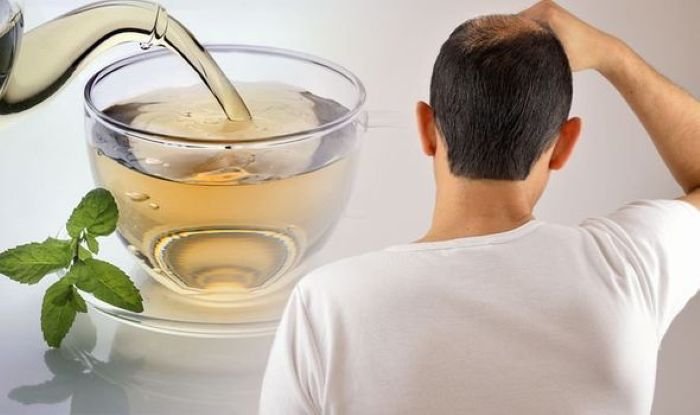 Teh Hijau Untuk Menumbuhkan Rambut Rontok - Photo by Google
