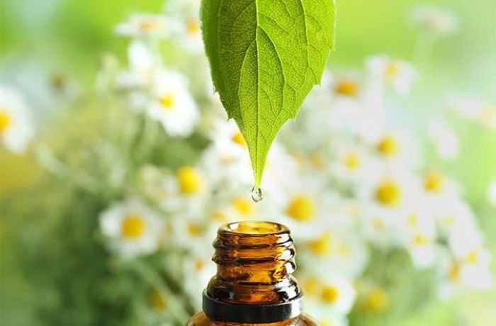 Tips Mengurangi Katarak Dengan Obat Tradisional - Photo by Google