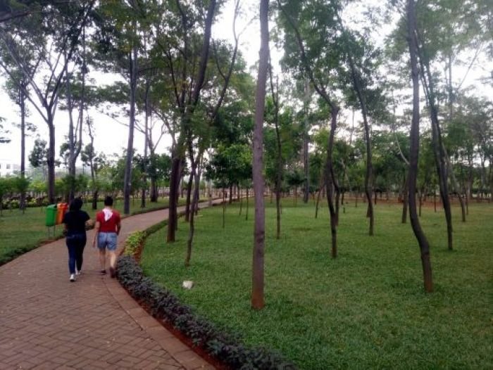 Hutan Kota Penjaringan Jakarta - Photo by Google