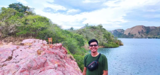 Strawberry Rocks Bajo
