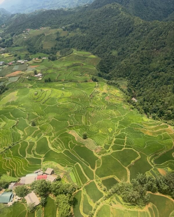 pemandangan sawah saat naik cable car